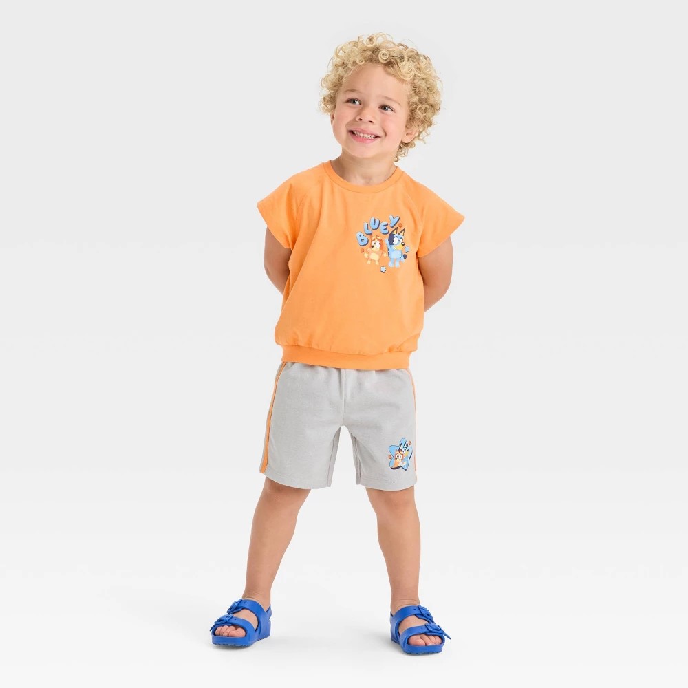 Bluey Toddler Boys' 2pc Short Sleeve Set - Orange 4T