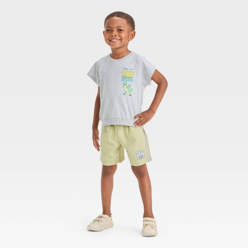 Toy Story Toddler Boys' 2T T-Shirt and Shorts Set Gray