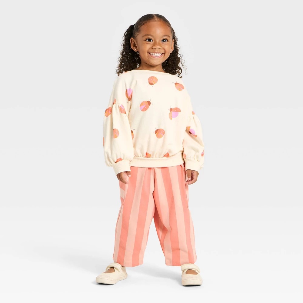 Cat & Jack Toddler Girls' Lady Bug Sweater Set Pink 5T