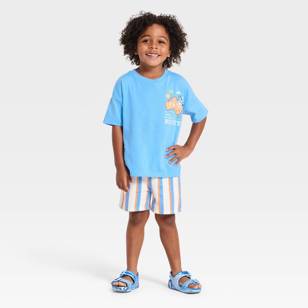 Bluey Toddler Boys' 2pc T-Shirt & Shorts Set - 18M