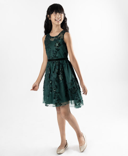 Rare Editions Hunter Velvet Dress, Burnout, Size 8 girl