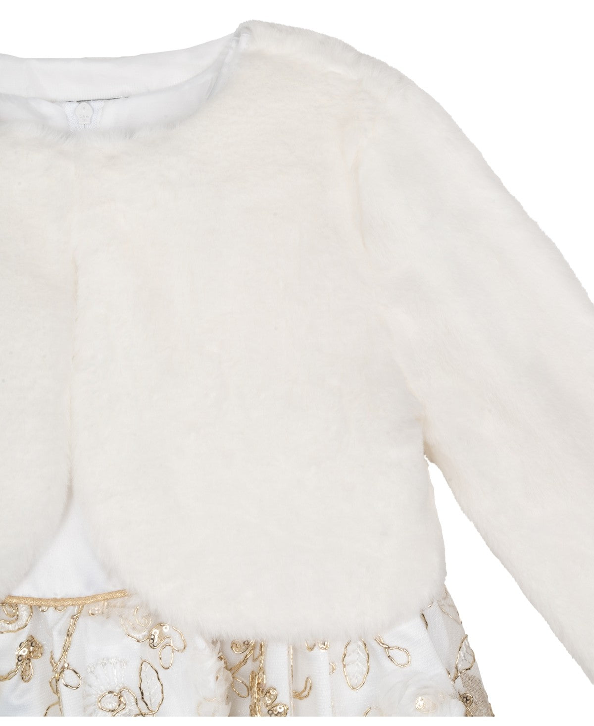 Rare Editions Embroidered Social Dress, 2-Piece Set, Size 2T girl