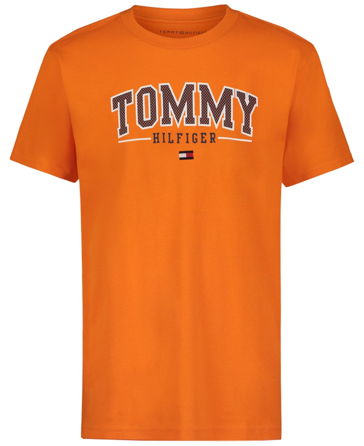 Tommy Hilfiger Boys Arch Overwrite Logo Graphic T-Shirt - Exuberance 4