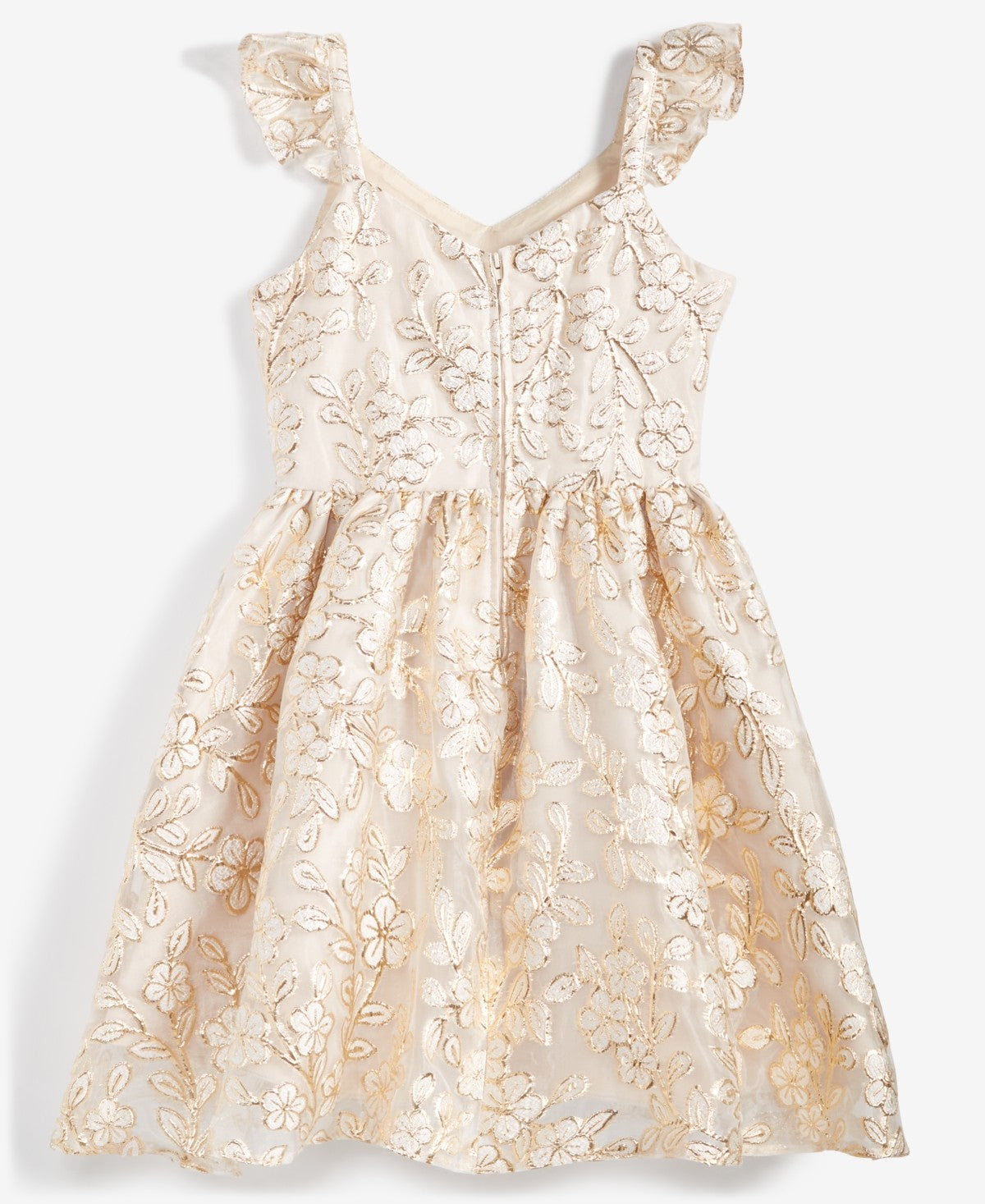 Rare Editions Floral Burnout Organza Dress, Size 14 Girl