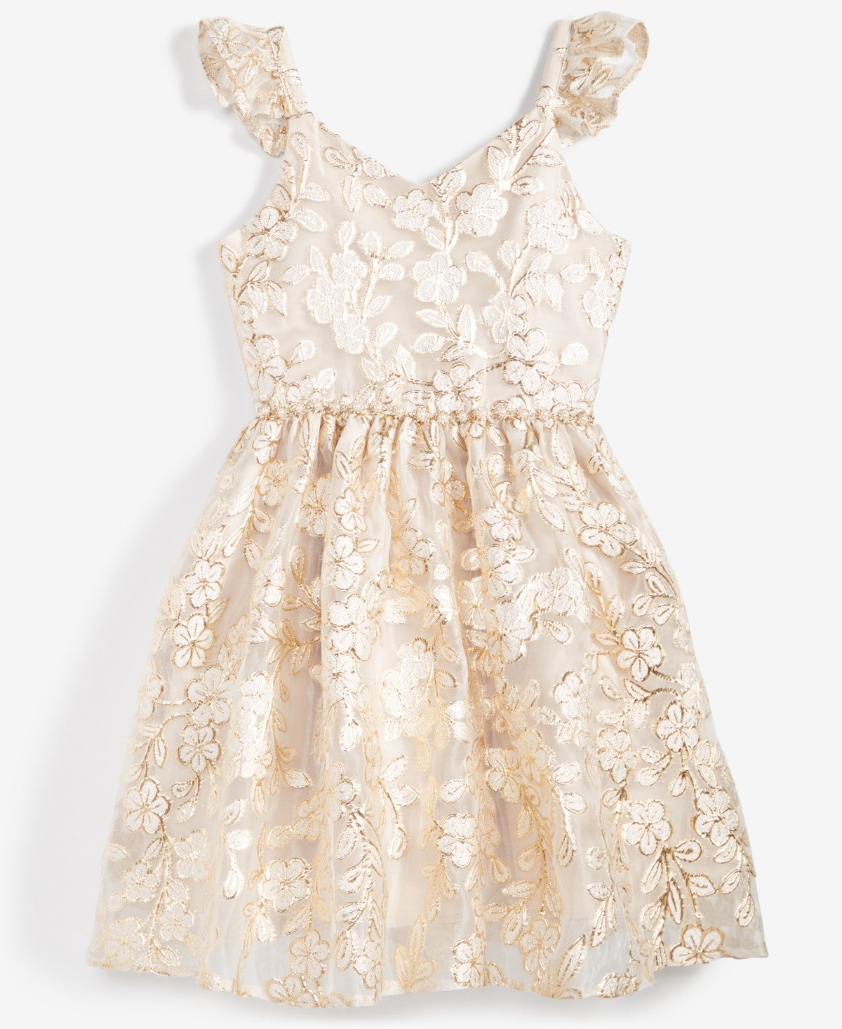 Rare Editions Floral Burnout Organza Dress, Size 14 Girl