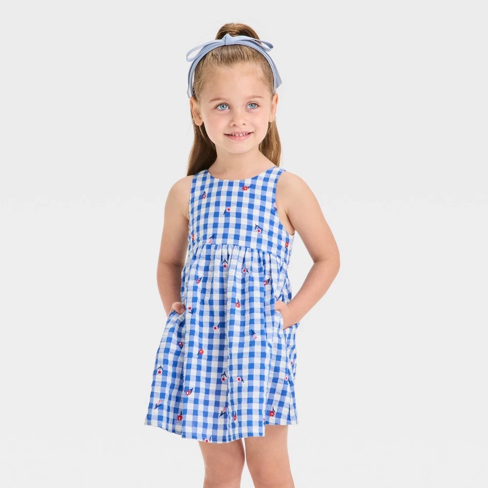 Cat & Jack Girls' Gingham Dress Blue 4T