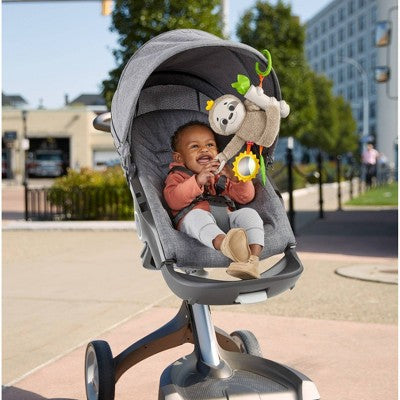 Mattel Fisher-Price Slow Much Fun Stroller Sloth, One Size boys