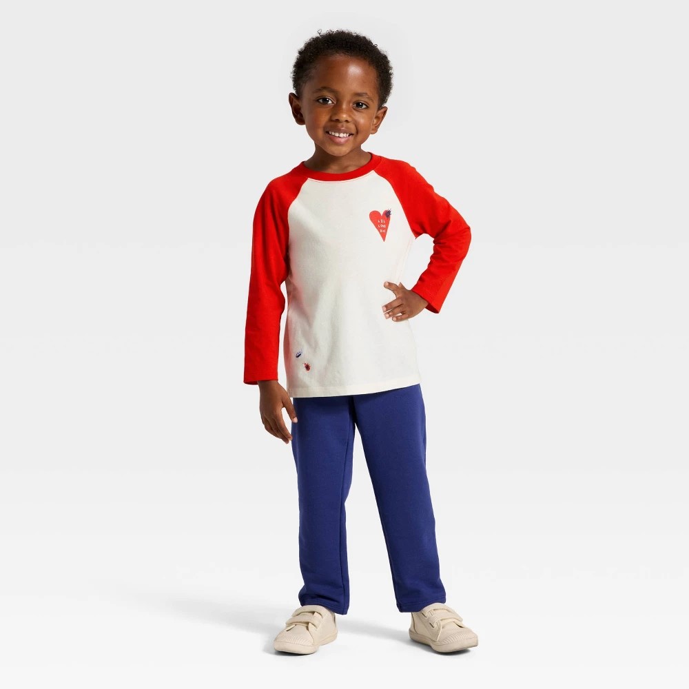 Cat & Jack Toddler Boys' Love Bug Set 4T
