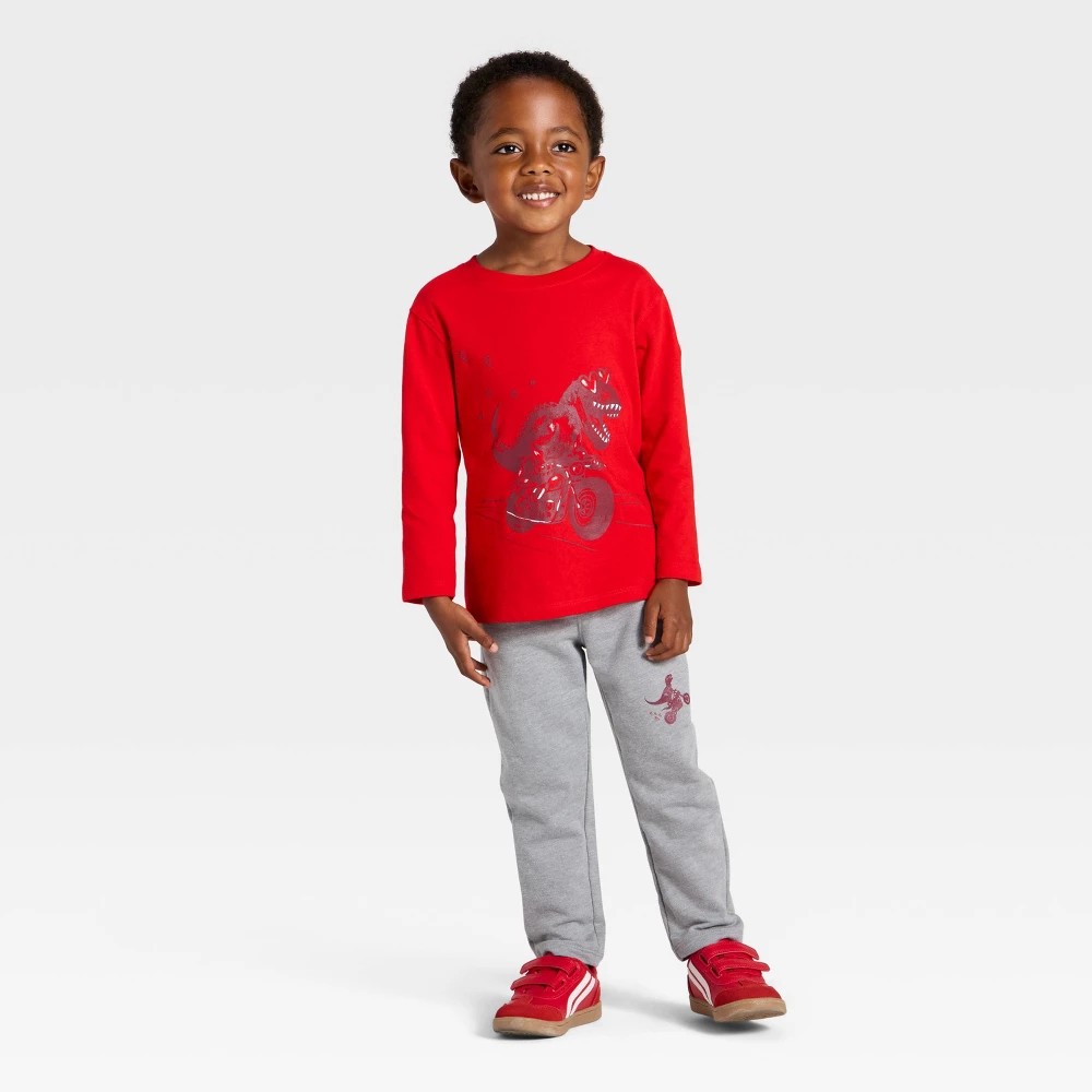 Cat & Jack Toddler Boys' Dino Set 3T