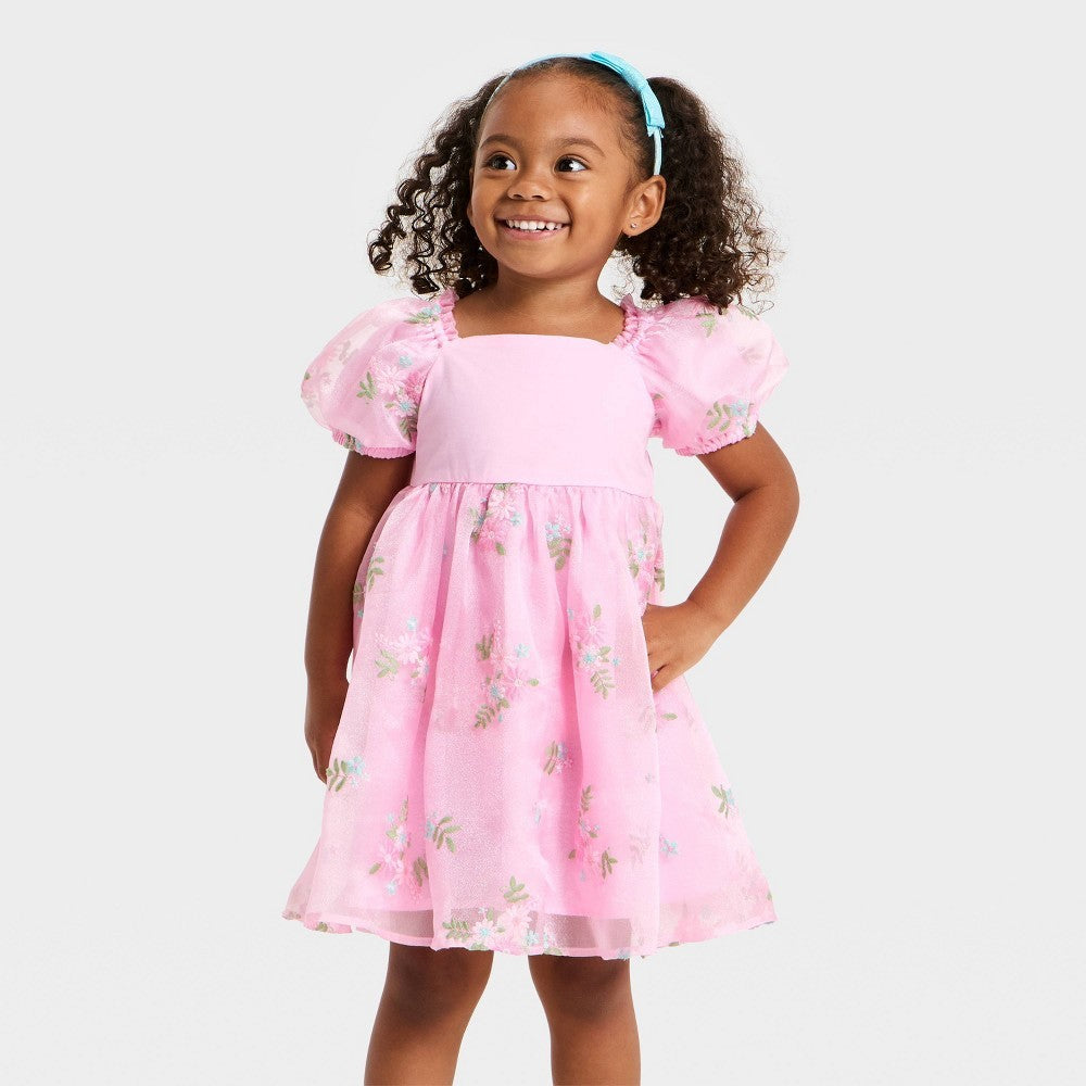 Audrey Girls' Floral Embroidered Dress Pink 18M