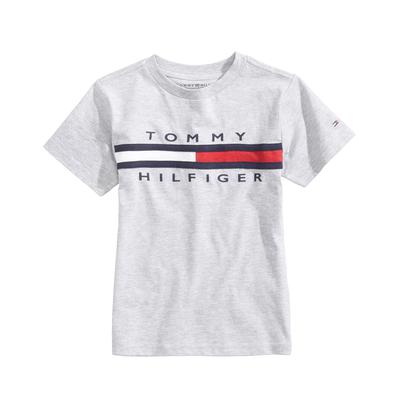 Tommy Hilfiger Little Boys Graphic-Print Cotton T-Shirt - Grey Heather