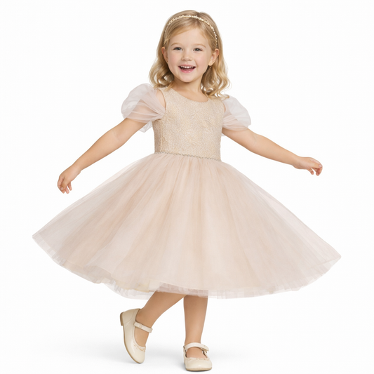 Bonnie Jean Girls Mesh Ballerina Party Dress - Taupe