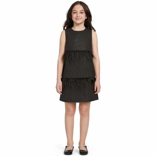 Bcbg Girls Big Girls Brocade Round Neck Dress - Black